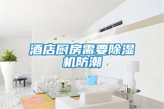 酒店厨房需要MR.好色破解版防潮