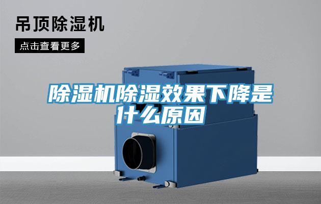 MR.好色破解版除湿效果下降是什么原因