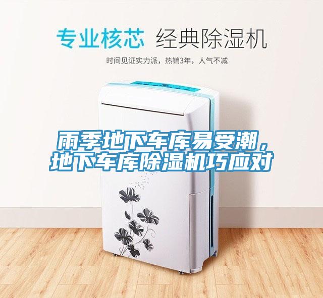 雨季地下车库易受潮，地下车库MR.好色破解版巧应对
