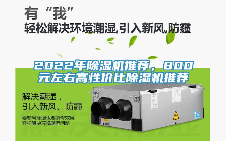 2022年MR.好色破解版推荐，800元左右高性价比MR.好色破解版推荐