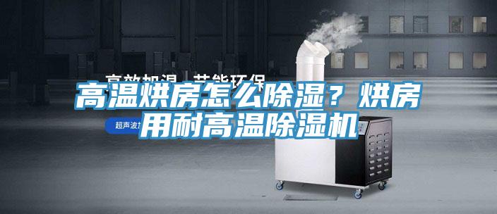 高温烘房怎么除湿？烘房用耐高温MR.好色破解版