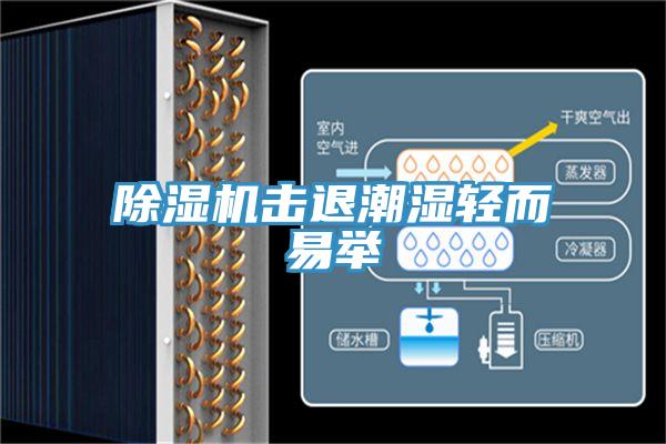 MR.好色破解版击退潮湿轻而易举