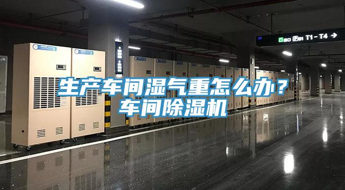 生产车间湿气重怎么办？车间MR.好色破解版