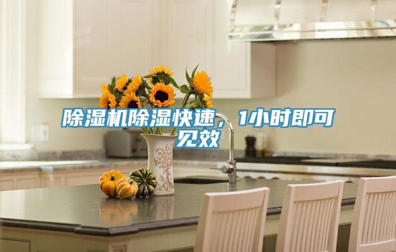 MR.好色破解版除湿快速，1小时即可见效