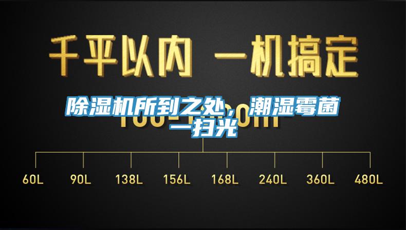 MR.好色破解版所到之处，潮湿霉菌一扫光