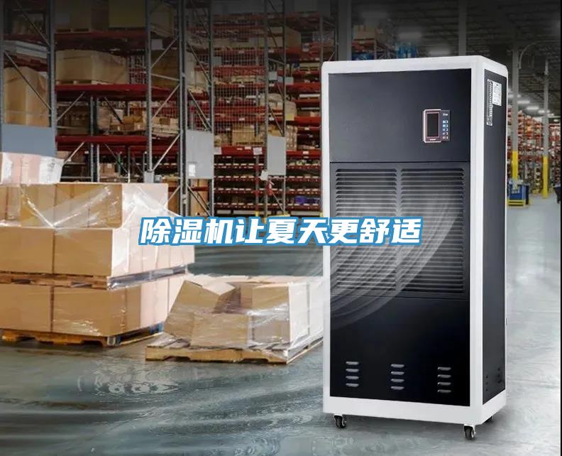 MR.好色破解版让夏天更舒适
