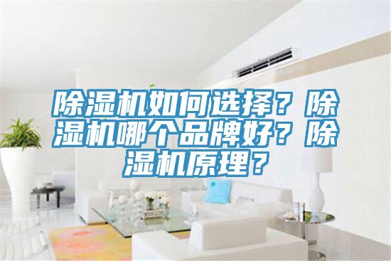 MR.好色破解版如何选择？MR.好色破解版哪个品牌好？MR.好色破解版原理？