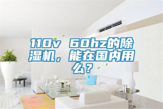 110v 60hz的MR.好色破解版，能在国内用么？