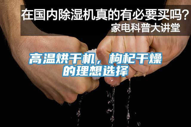高温烘干机，枸杞干燥的理想选择