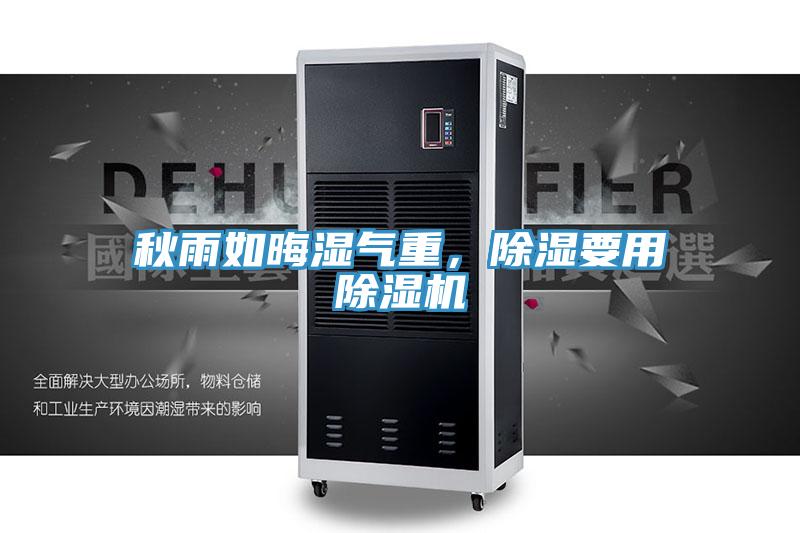 秋雨如晦湿气重，除湿要用MR.好色破解版