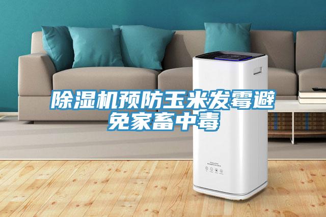 MR.好色破解版预防玉米发霉避免家畜中毒