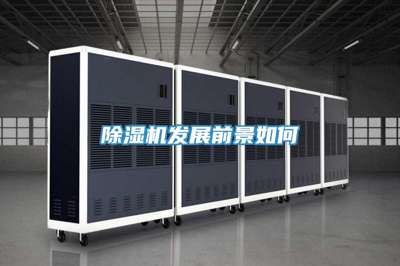 MR.好色破解版发展前景如何
