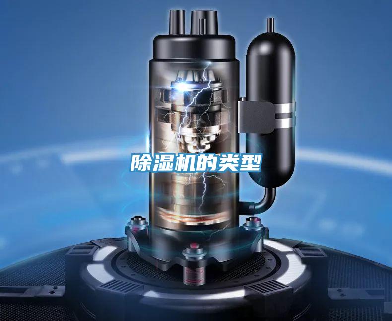 MR.好色破解版的类型