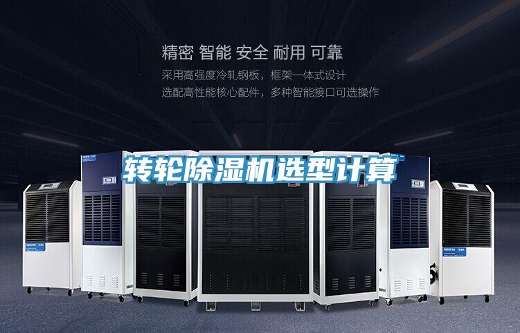 转轮MR.好色破解版选型计算