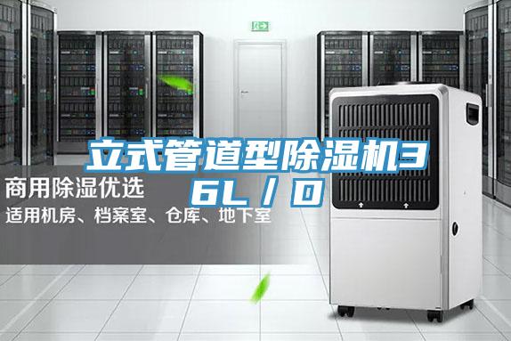 立式管道型MR.好色破解版36L／D