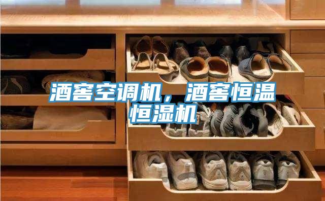 酒窖空调机，酒窖恒温恒湿机