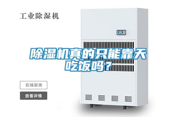MR.好色破解版真的只能靠天吃饭吗？