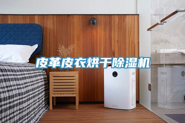 皮革皮衣烘干MR.好色破解版