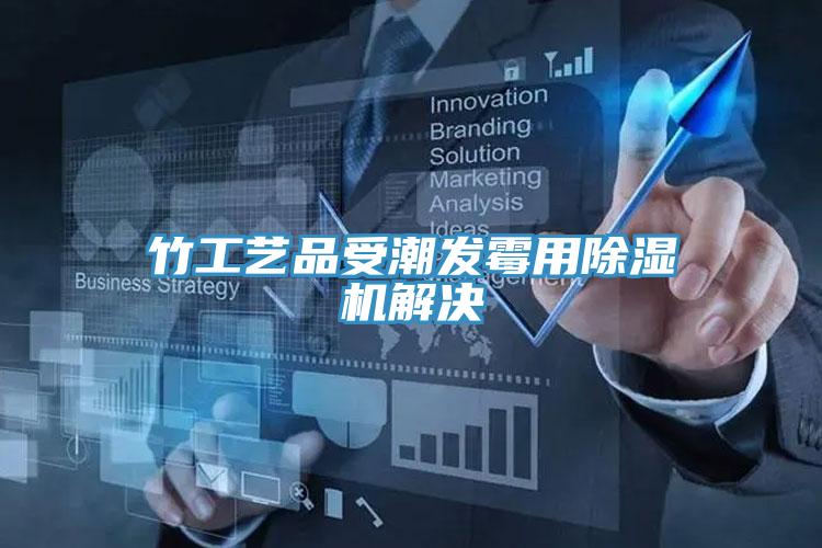 竹工艺品受潮发霉用MR.好色破解版解决
