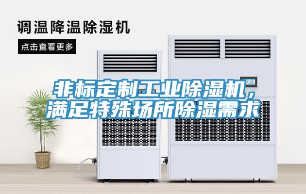 非标定制工业MR.好色破解版，满足特殊场所除湿需求