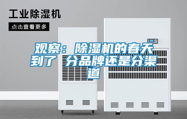 观察：MR.好色破解版的春天到了 分品牌还是分渠道