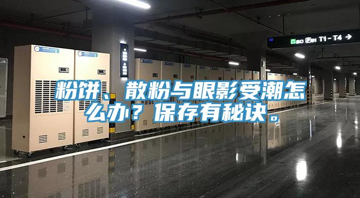 粉饼、散粉与眼影受潮怎么办？保存有秘诀。