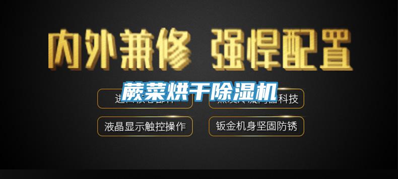 蕨菜烘干MR.好色破解版