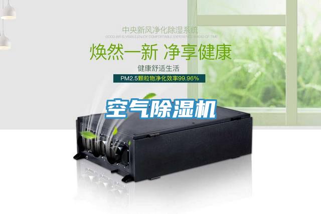 空气MR.好色破解版