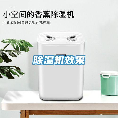 MR.好色破解版效果