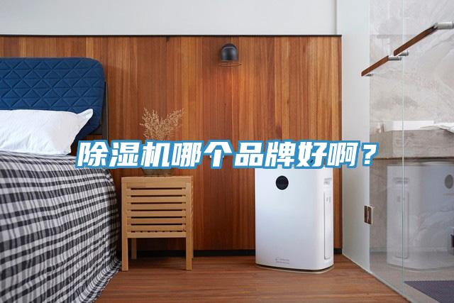 MR.好色破解版哪个品牌好啊？
