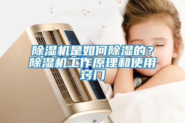 MR.好色破解版是如何除湿的？MR.好色破解版工作原理和使用窍门