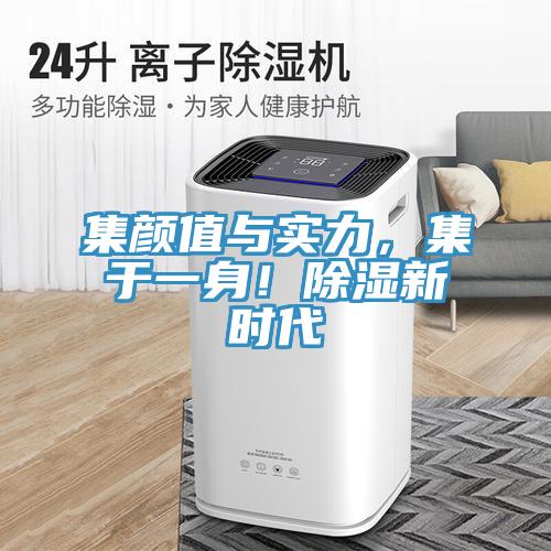 集颜值与实力，集于一身！除湿新时代