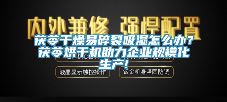 茯苓干燥易碎裂吸湿怎么办？茯苓烘干机助力企业规模化生产!
