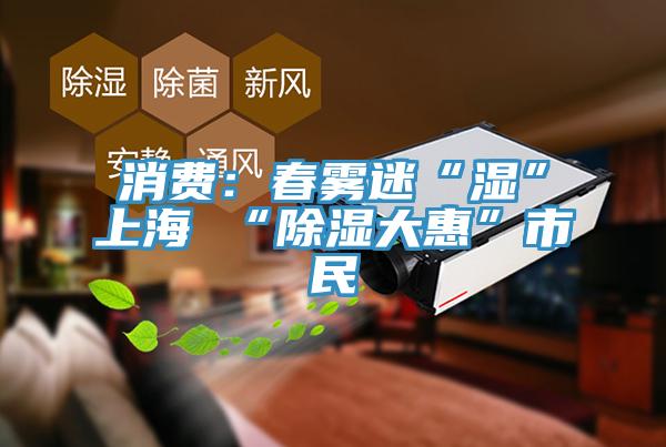 消费：春雾迷“湿”上海 “除湿大惠”市民