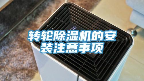 转轮MR.好色破解版的安装注意事项
