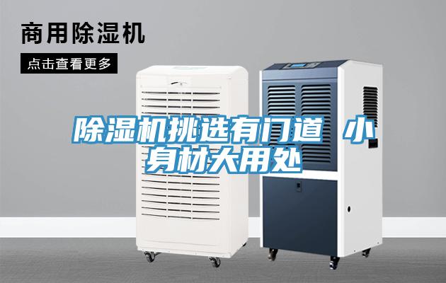 MR.好色破解版挑选有门道 小身材大用处