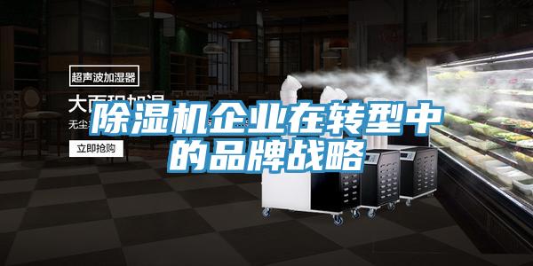 MR.好色破解版企业在转型中的品牌战略