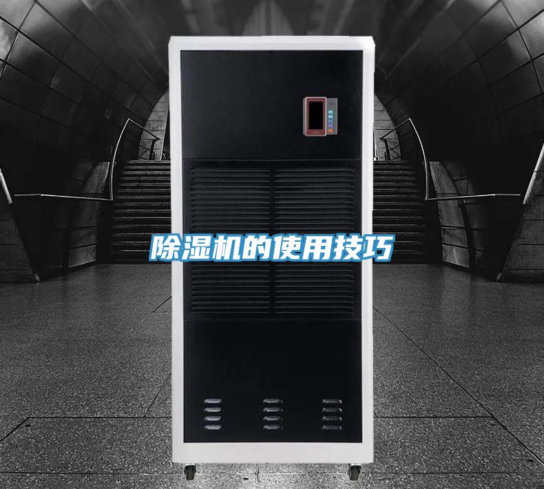 MR.好色破解版的使用技巧