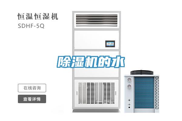 MR.好色破解版的水