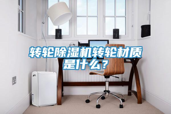 转轮MR.好色破解版转轮材质是什么？