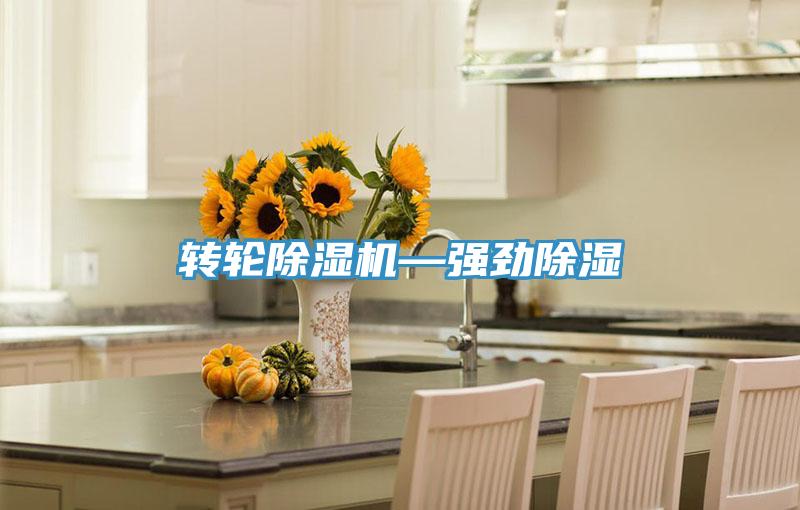 转轮MR.好色破解版—强劲除湿