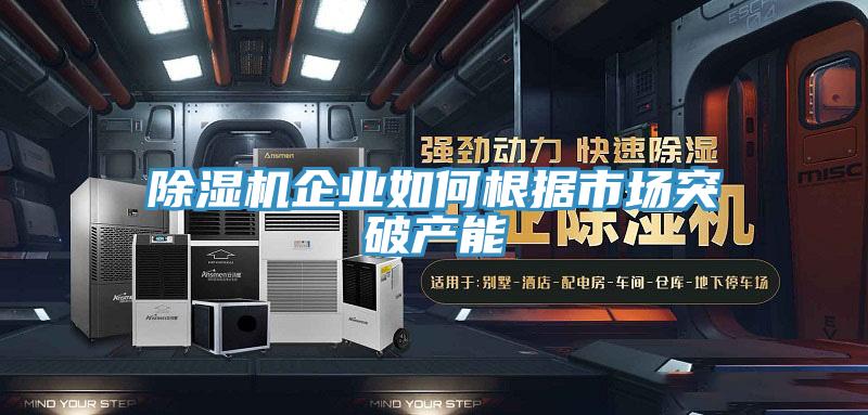 MR.好色破解版企业如何根据市场突破产能