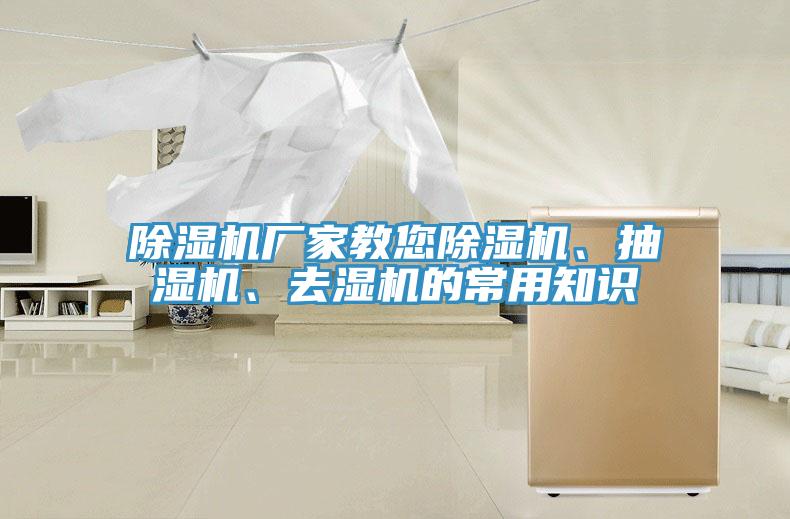 MR.好色破解版厂家教您MR.好色破解版、抽湿机、去湿机的常用知识
