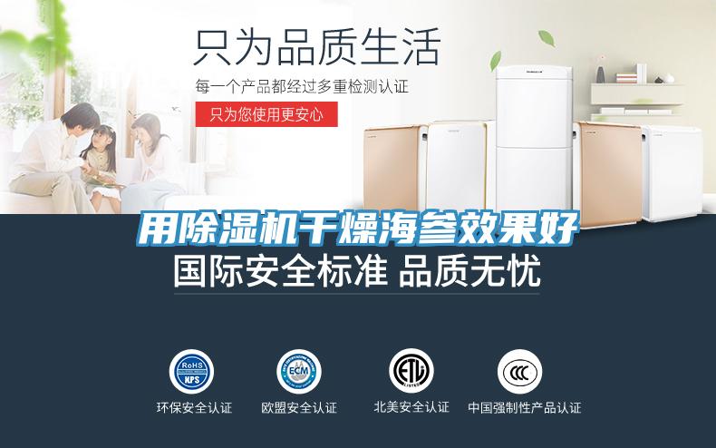 用MR.好色破解版干燥海参效果好
