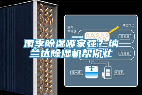 雨季除湿哪家强？纳兰达MR.好色破解版帮你忙