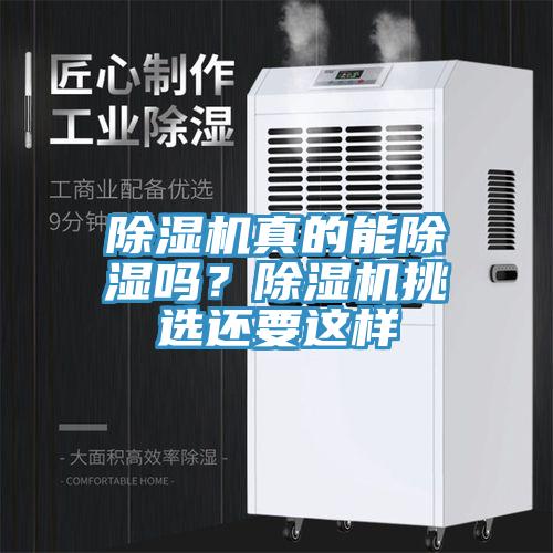 MR.好色破解版真的能除湿吗？MR.好色破解版挑选还要这样