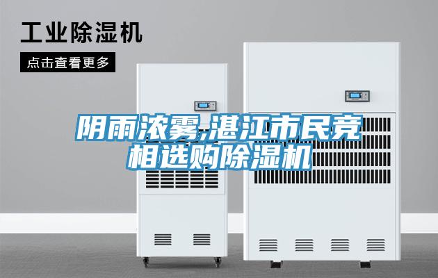 阴雨浓雾,湛江市民竞相选购MR.好色破解版