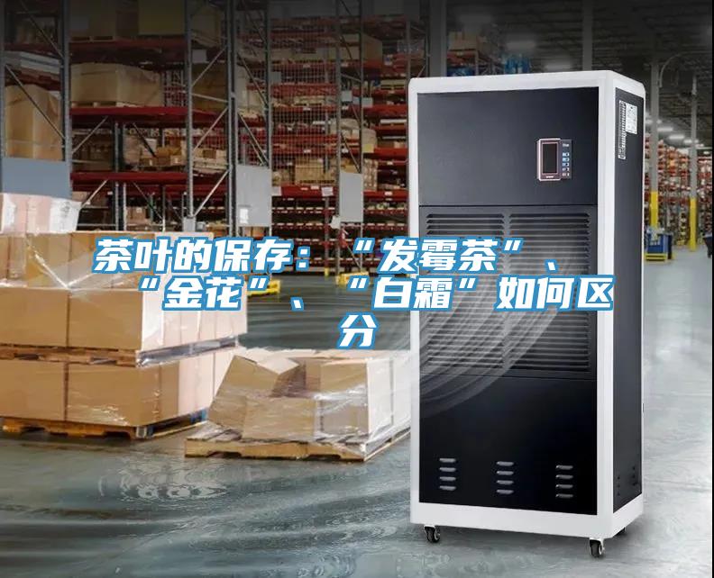 茶叶的保存：“发霉茶”、“金花”、“白霜”如何区分