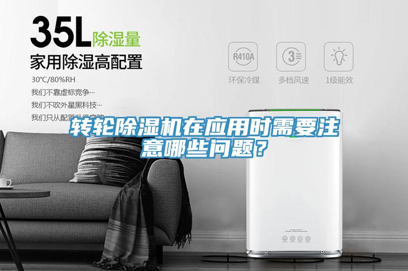 转轮MR.好色破解版在应用时需要注意哪些问题？