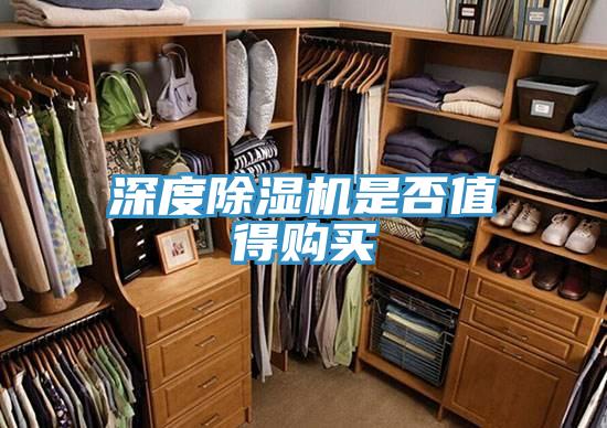 深度MR.好色破解版是否值得购买